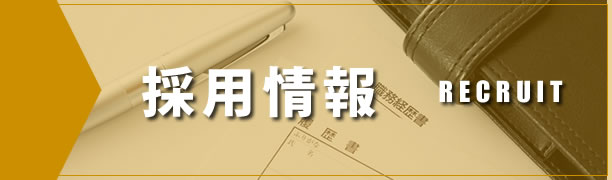 採用情報
